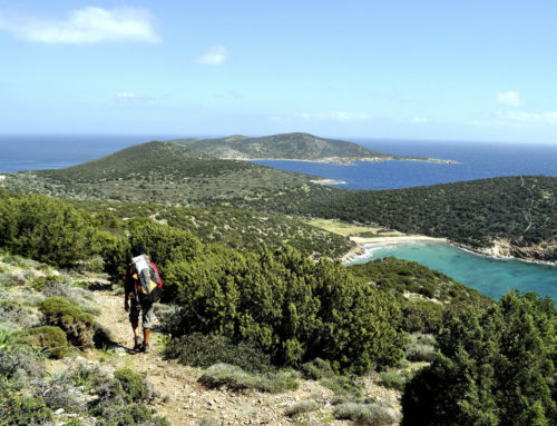 4 : Zedern, Olivenbäume und Meer